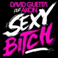 David Guetta feat Akon - Sexy Bitch